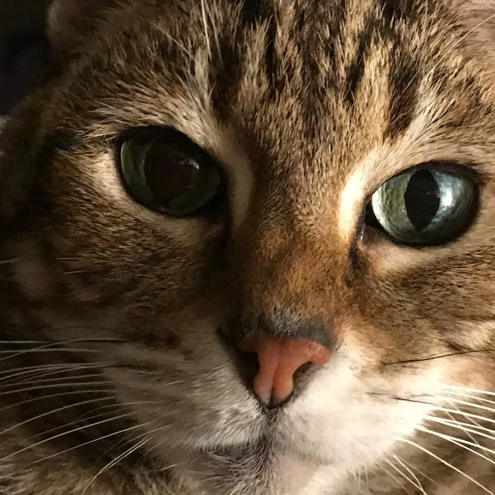 jazzzzzy.bsky.social's profile picture