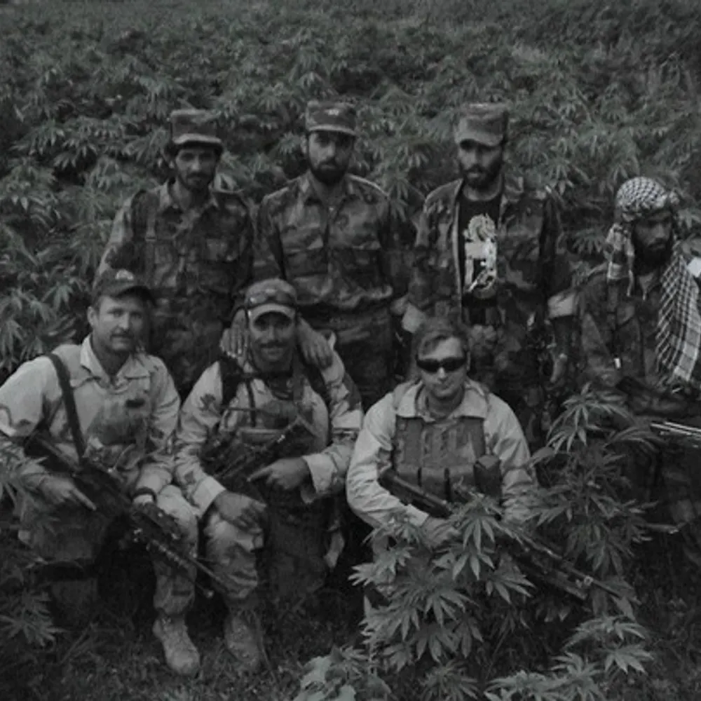 psiic.bsky.social's profile picture