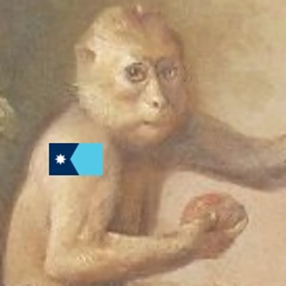 oinonio.bsky.social's profile picture