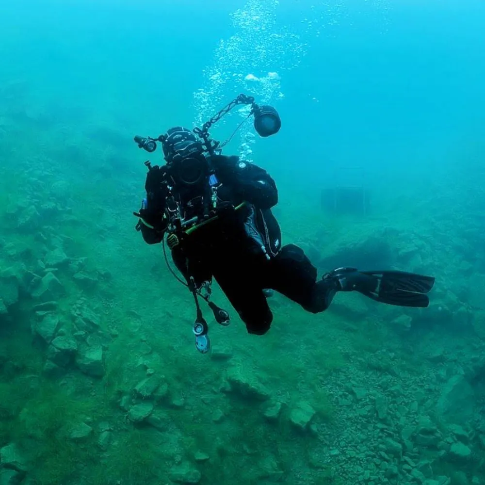 tonyn01.bsky.social's profile picture