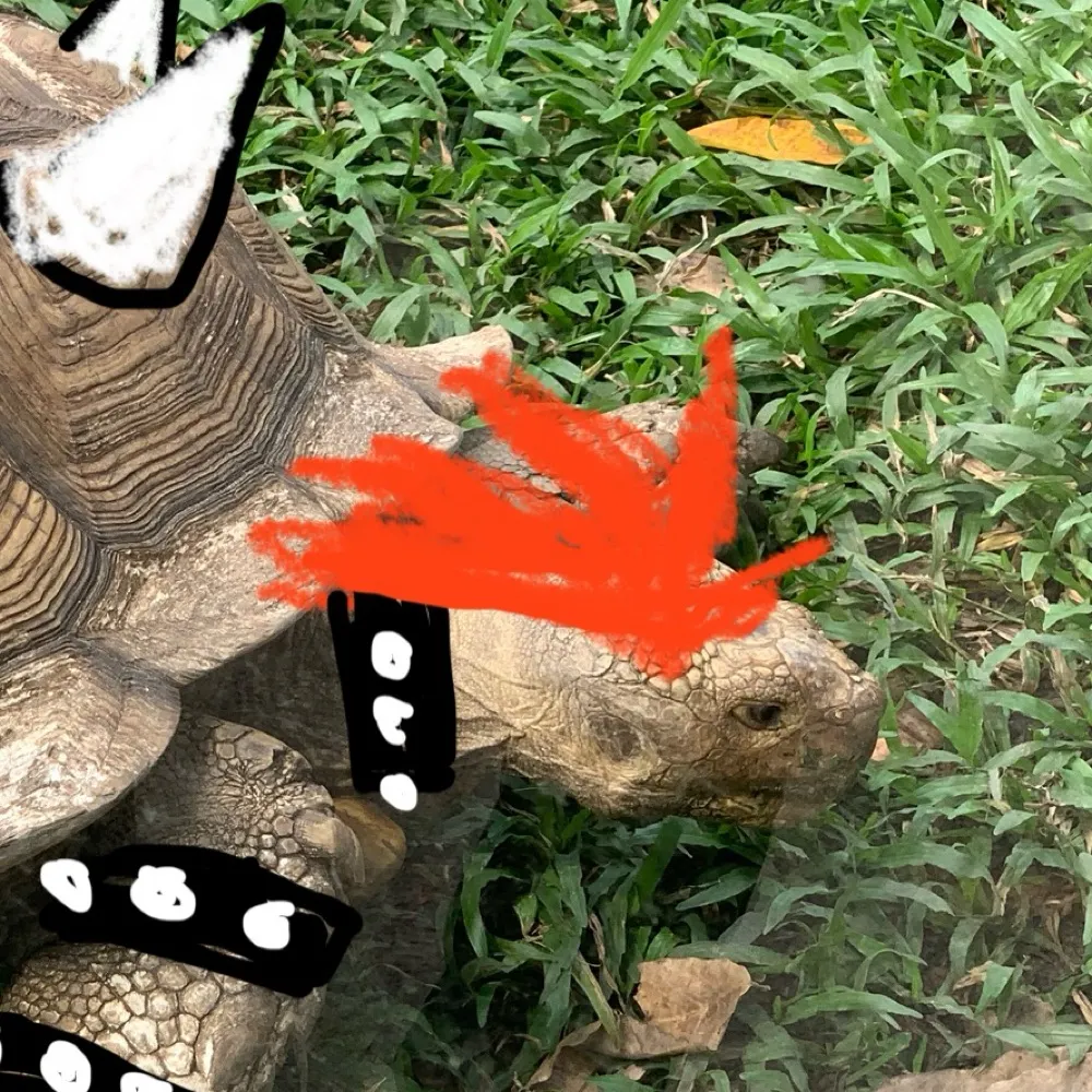 manhh-bisrelated.bsky.social's profile picture