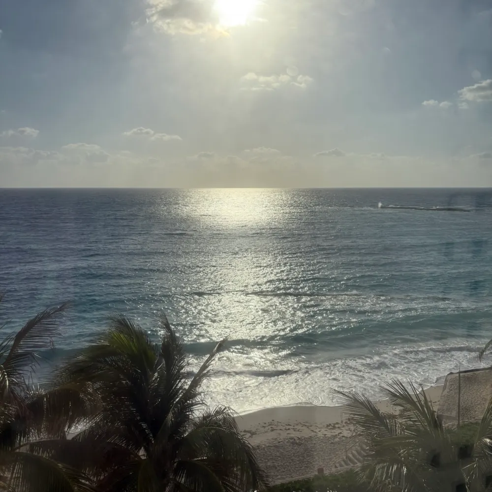 lifeistoshort.bsky.social's profile picture