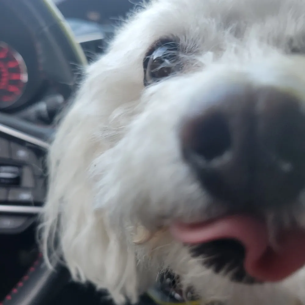 gigibff.bsky.social's profile picture