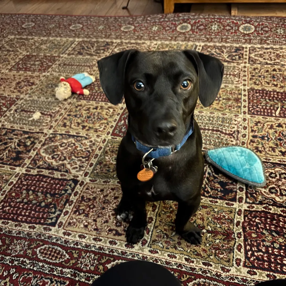 thedarlingclem.bsky.social's profile picture