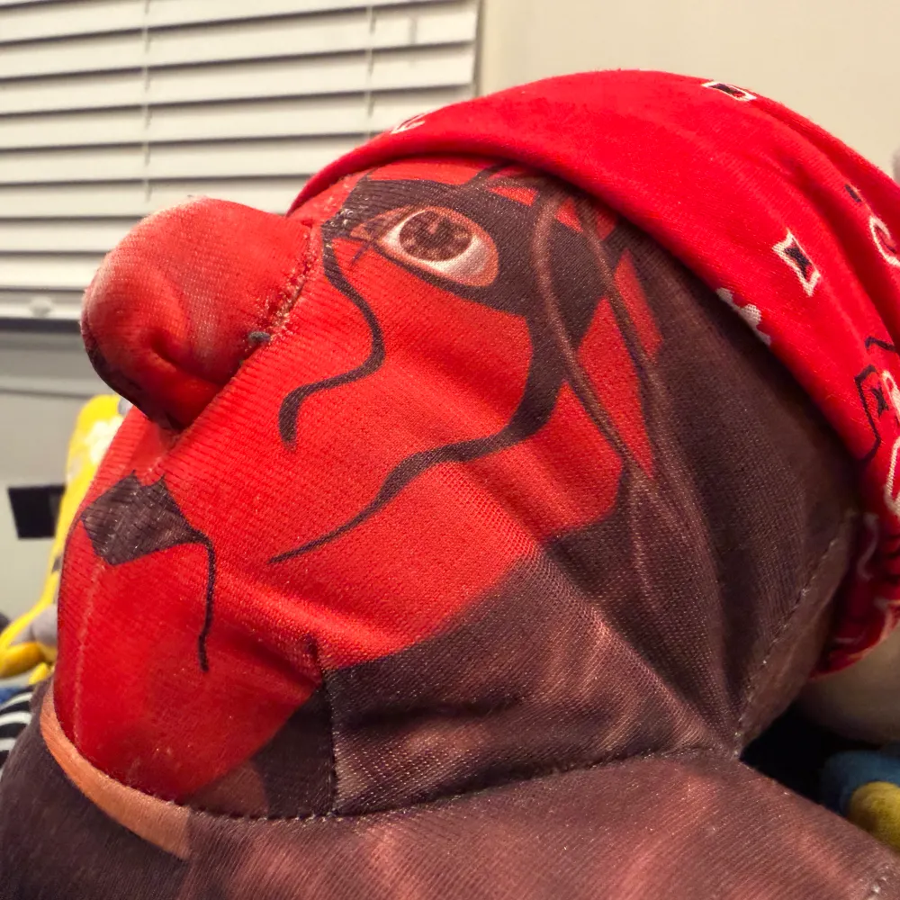 kingsigy.bsky.social's profile picture