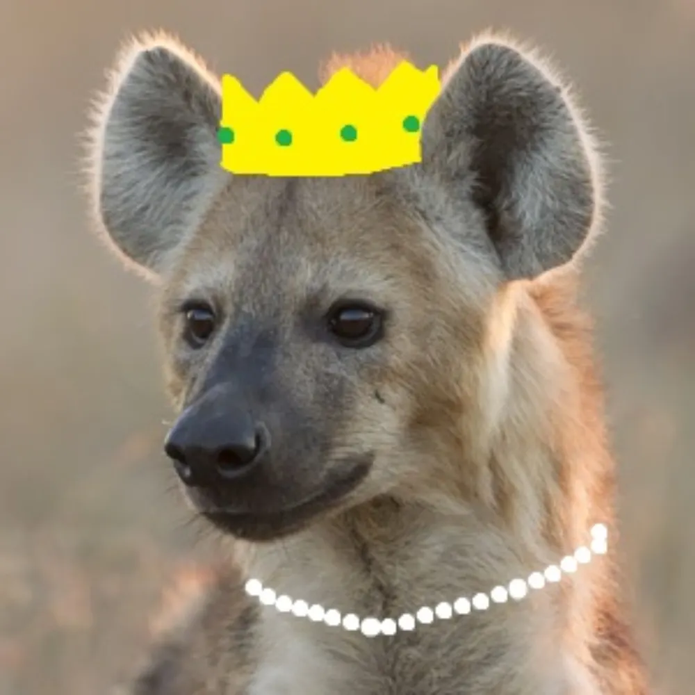 hyena-princess.bsky.social's profile picture