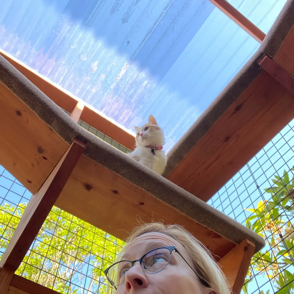 kristajacobsen.bsky.social's profile picture