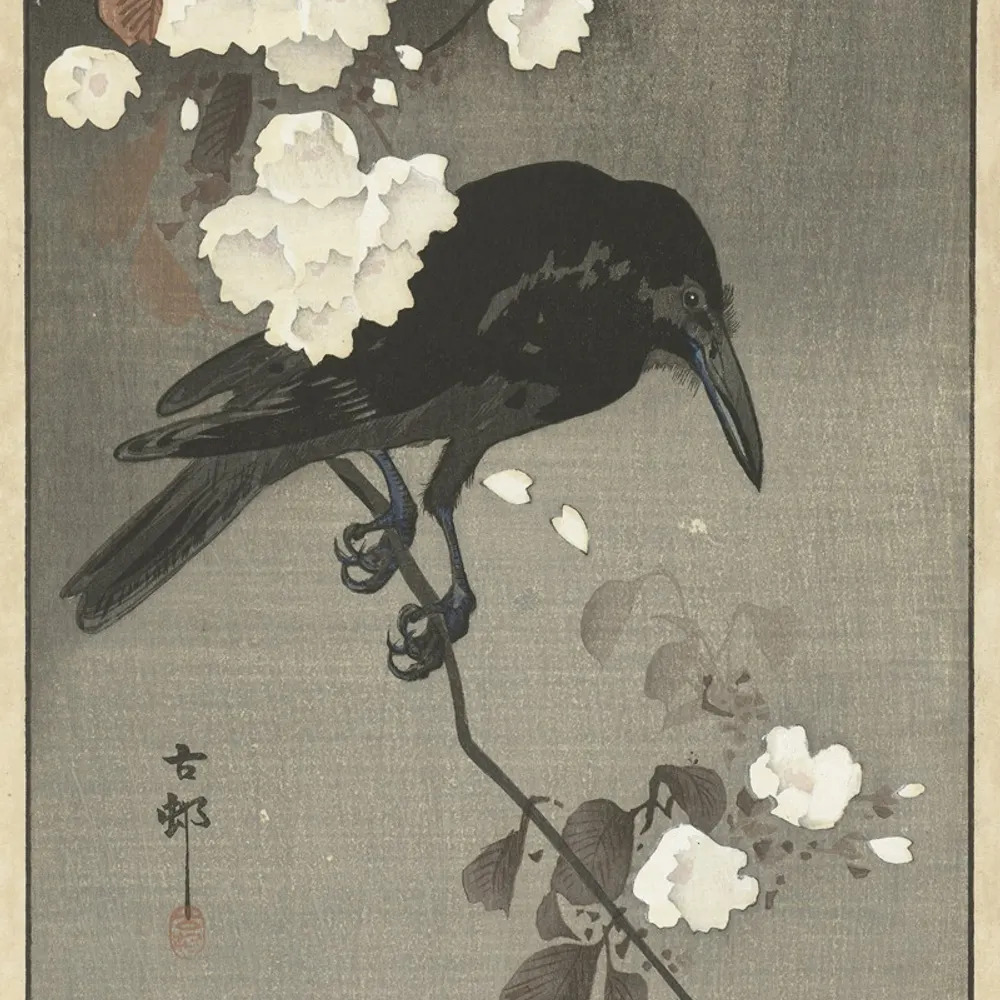 zvanjali.bsky.social's profile picture