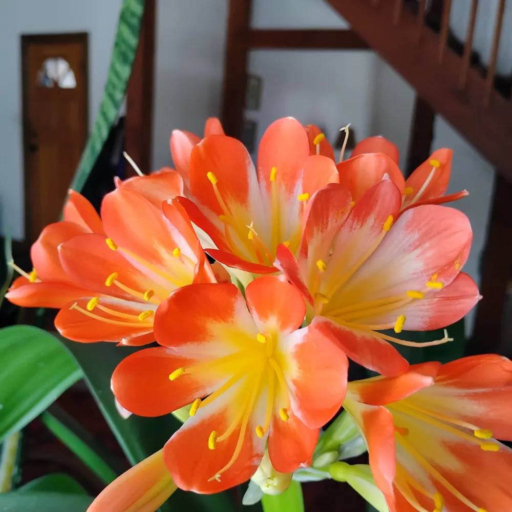 oilgaschemicals.bsky.social's profile picture