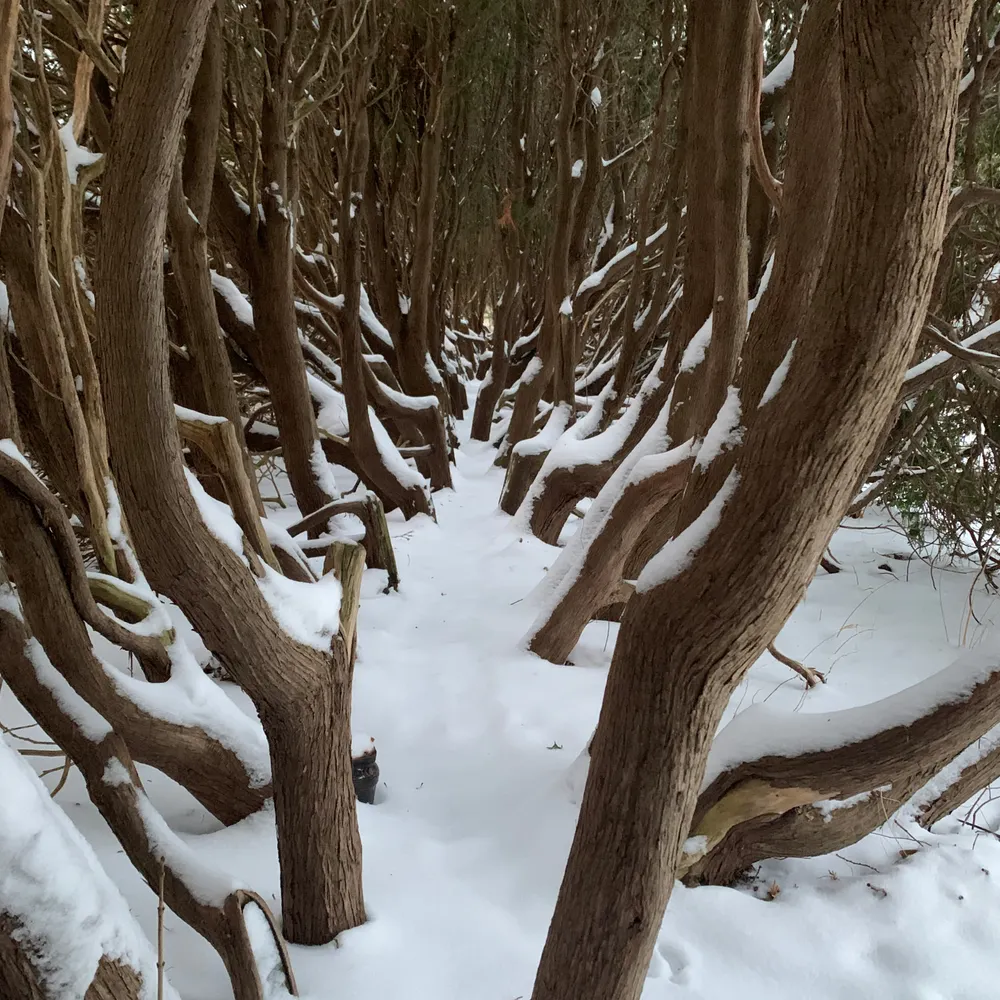 n3th3re.bsky.social's profile picture