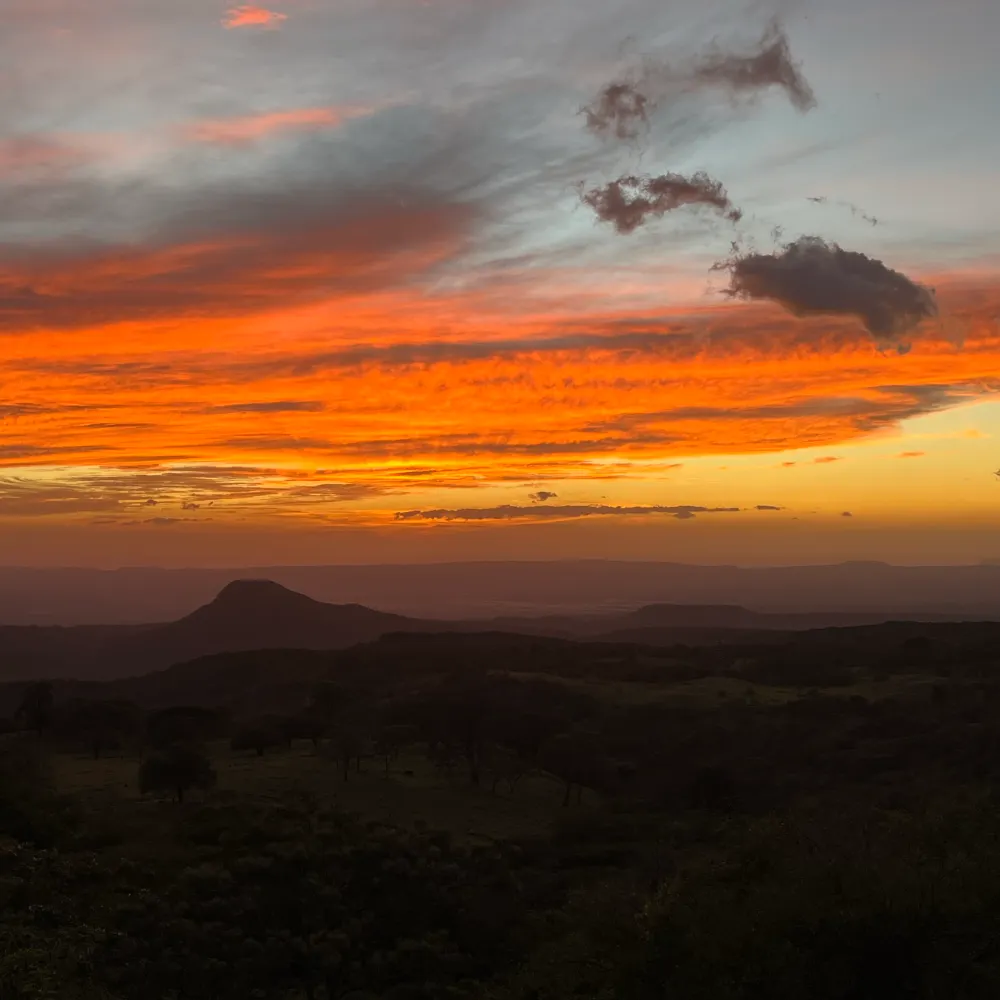 daveryforreal.bsky.social's profile picture