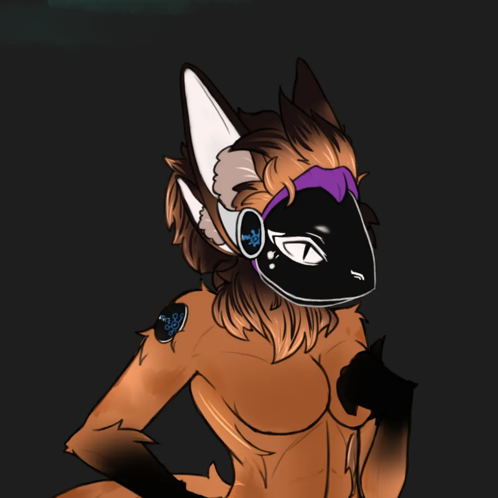 aloiz.xpulseuniverse.com's profile picture