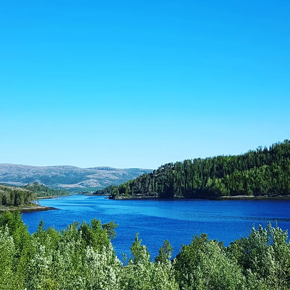 machinedsurfaces.bsky.social's profile picture