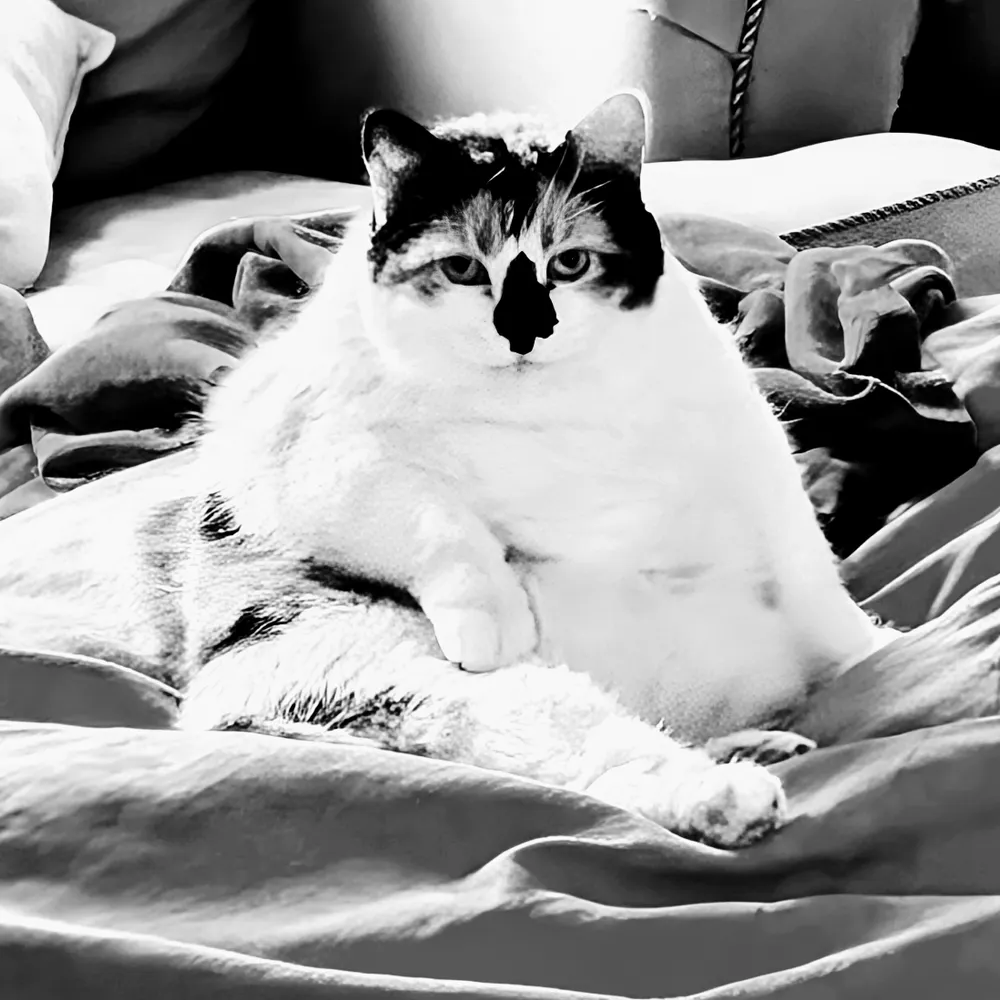 tink51.bsky.social's profile picture