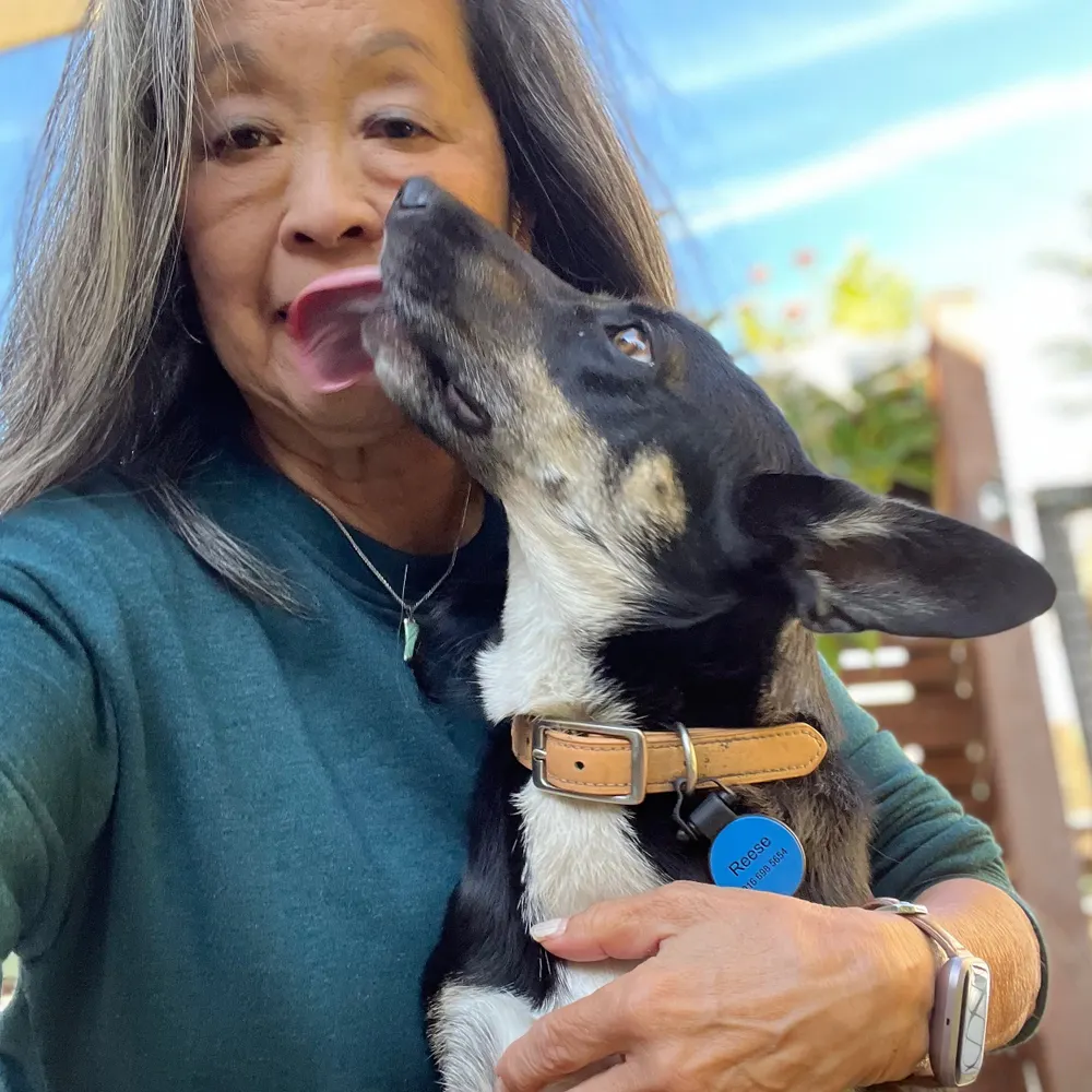 msenkoji.bsky.social's profile picture