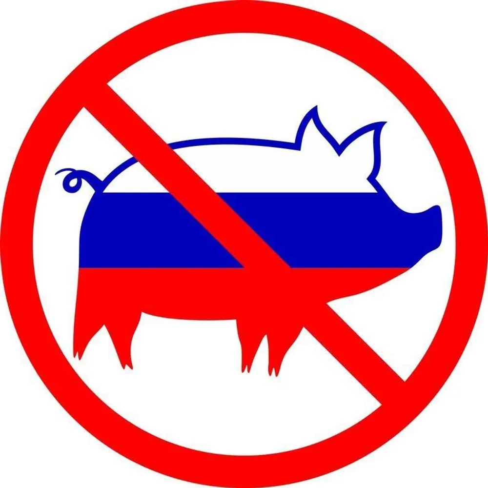 ramalina.bsky.social's profile picture