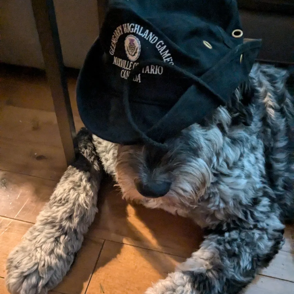 fubarspeaks.bsky.social's profile picture