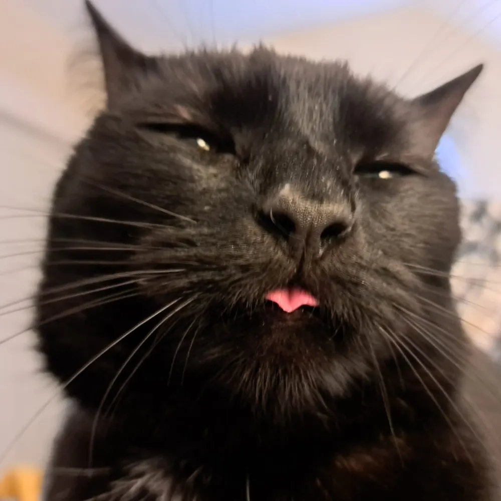 rqwisenheimer.bsky.social's profile picture