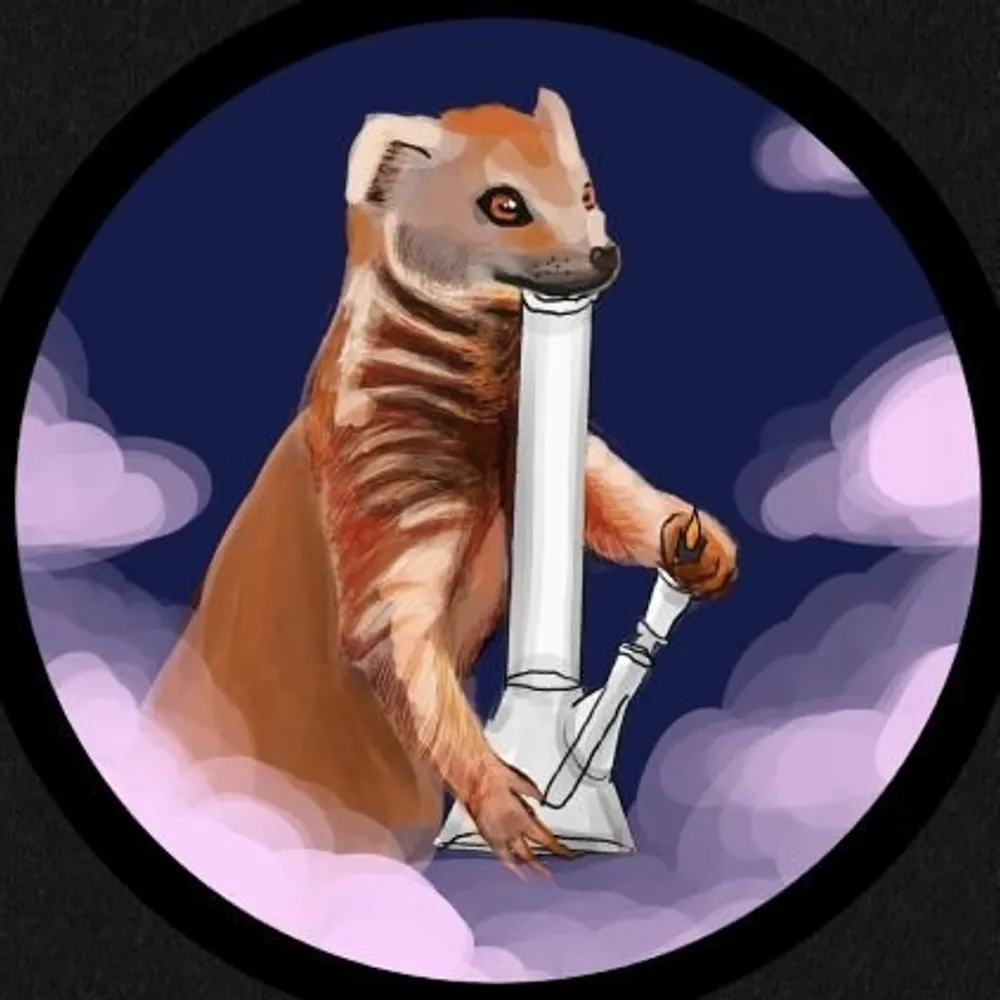 geftokingmongoose.bsky.social's profile picture