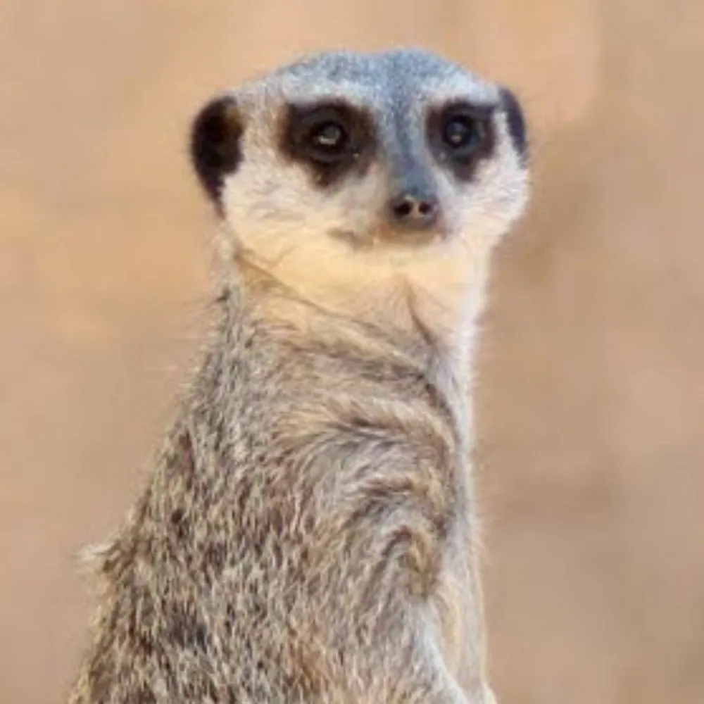 kdubzaz.bsky.social's profile picture