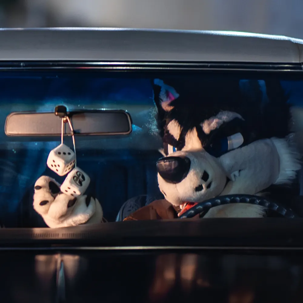 wrx-dawg.bsky.social's profile picture