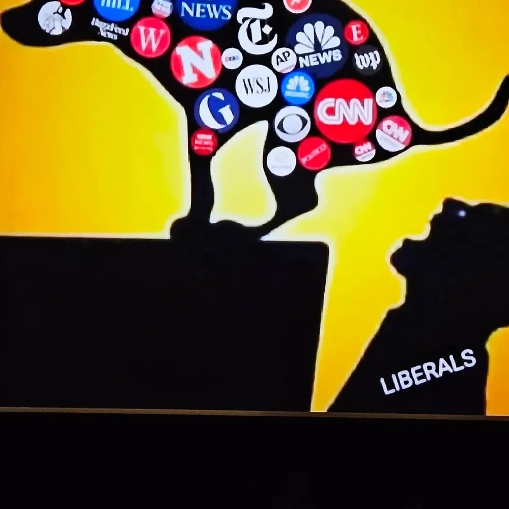 rightisright11.bsky.social's profile picture