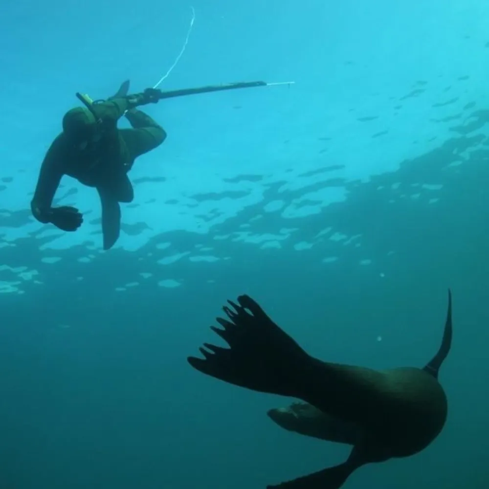 ahafoka.bsky.social's profile picture