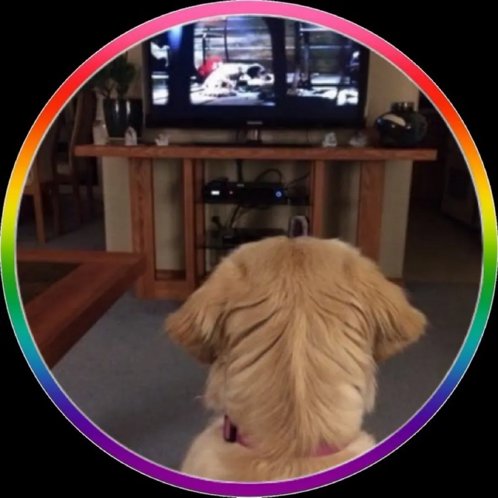 sophie413.bsky.social's profile picture