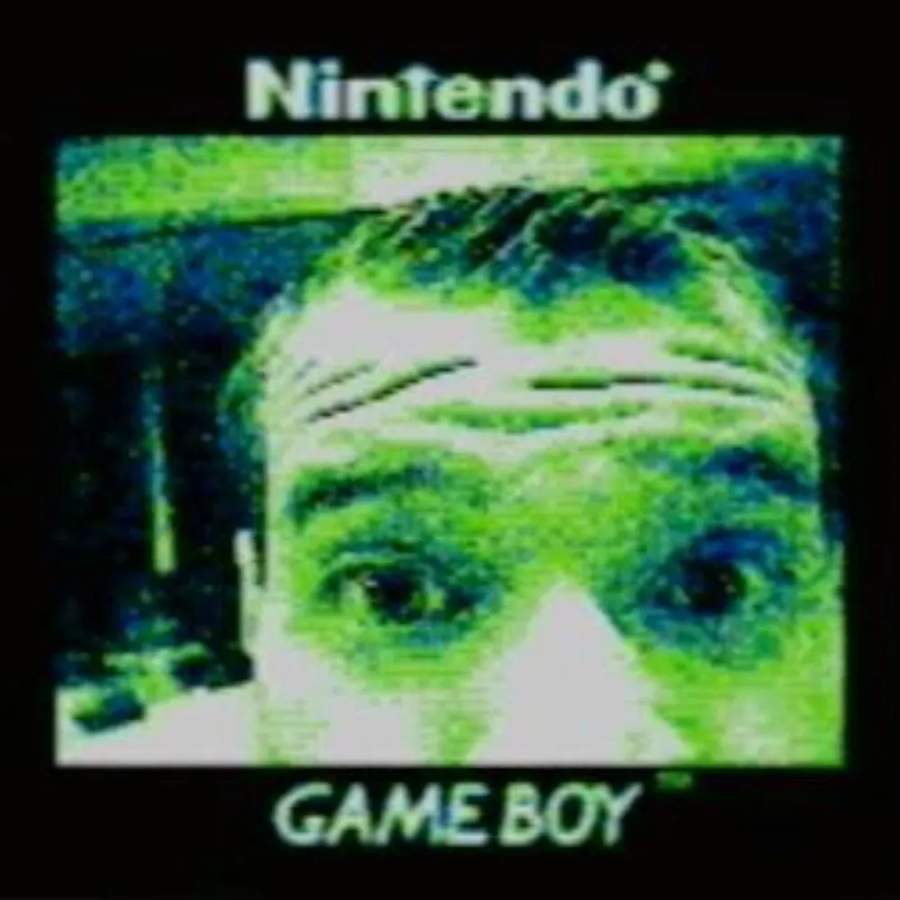 bear078.bsky.social's profile picture