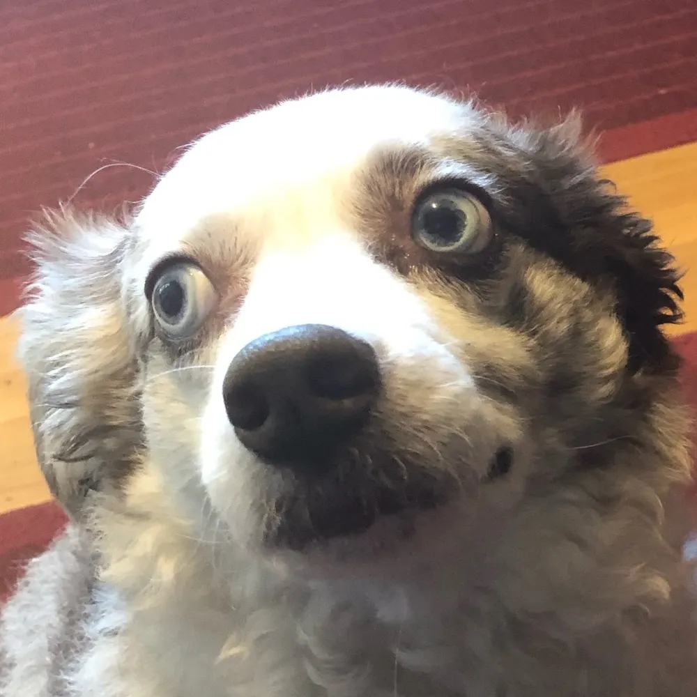 mmulter.bsky.social's profile picture