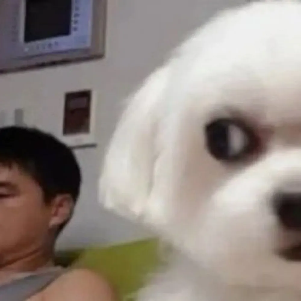 sourwonder.bsky.social's profile picture