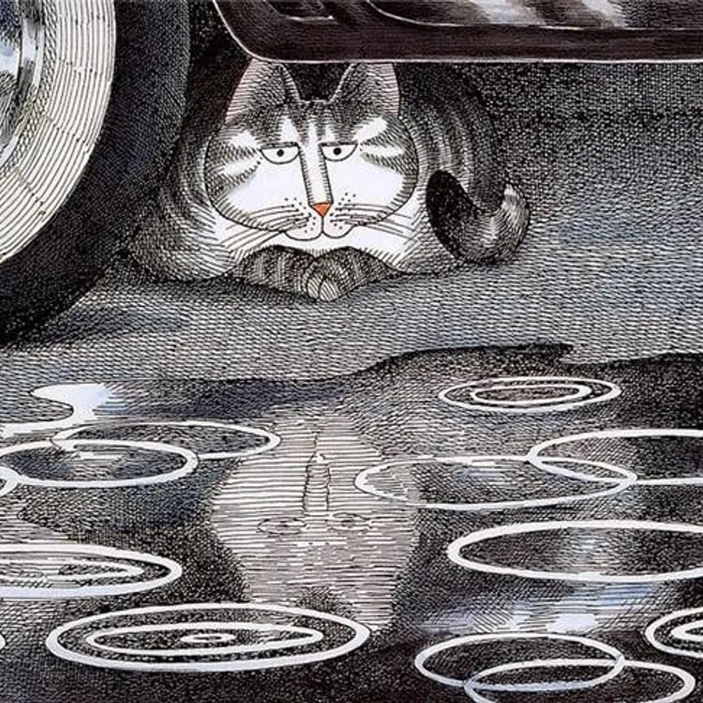 ddm143.bsky.social's profile picture