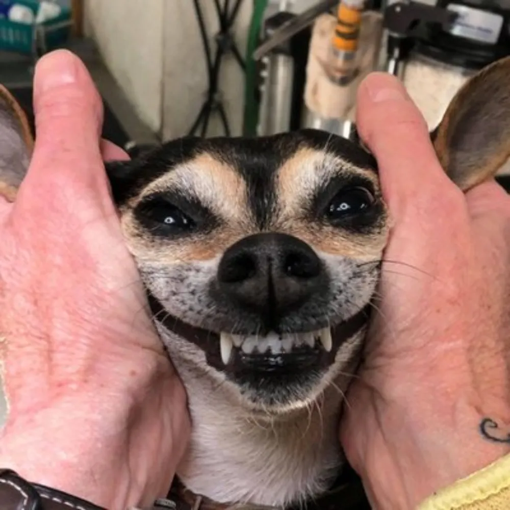 kristenimmoor.bsky.social's profile picture