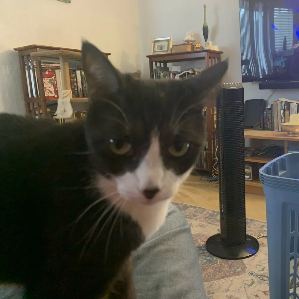 eugenebwhitaker.bsky.social's profile picture