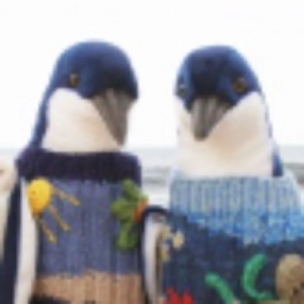 anthropunk.bsky.social's profile picture