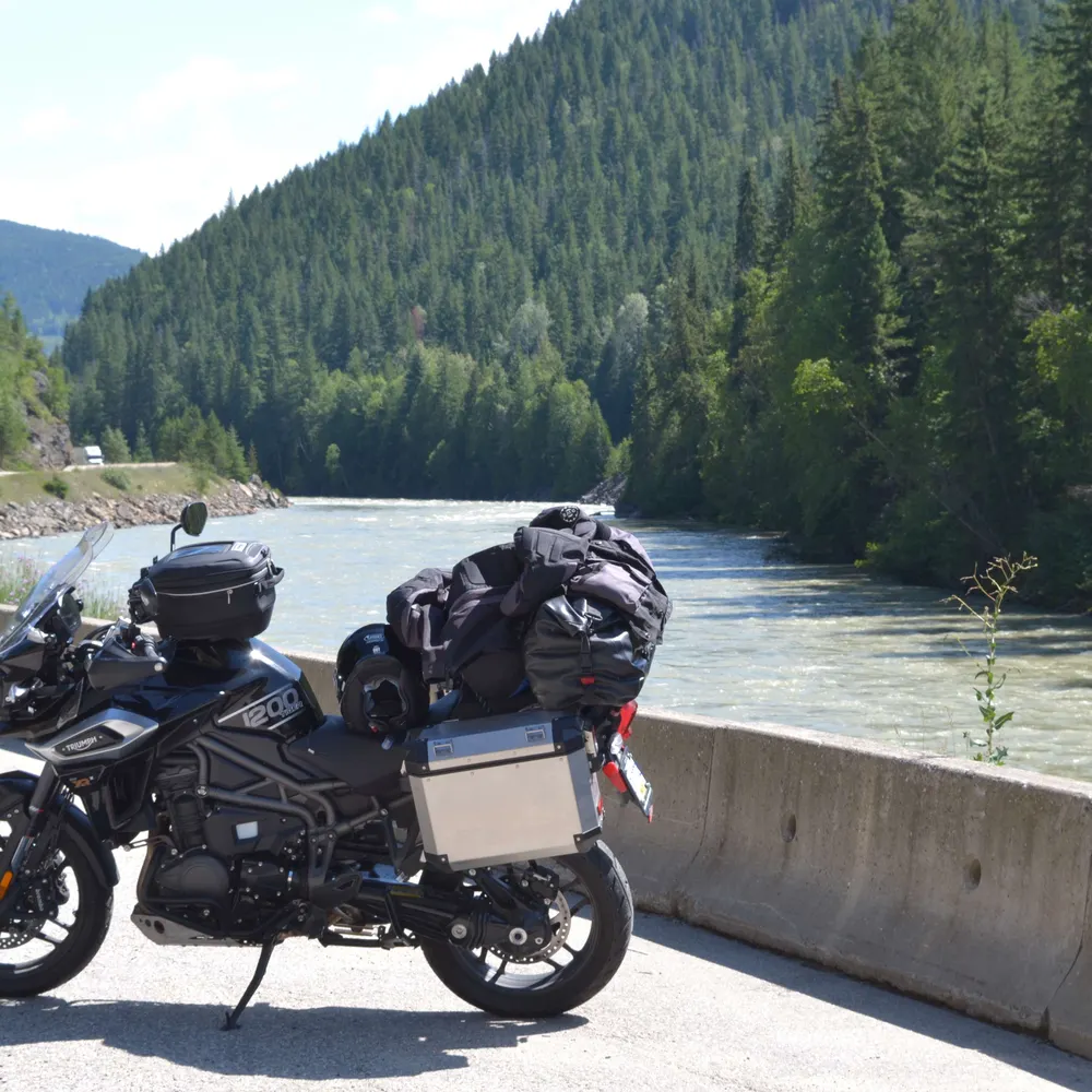 noelinmiocene.bsky.social's profile picture