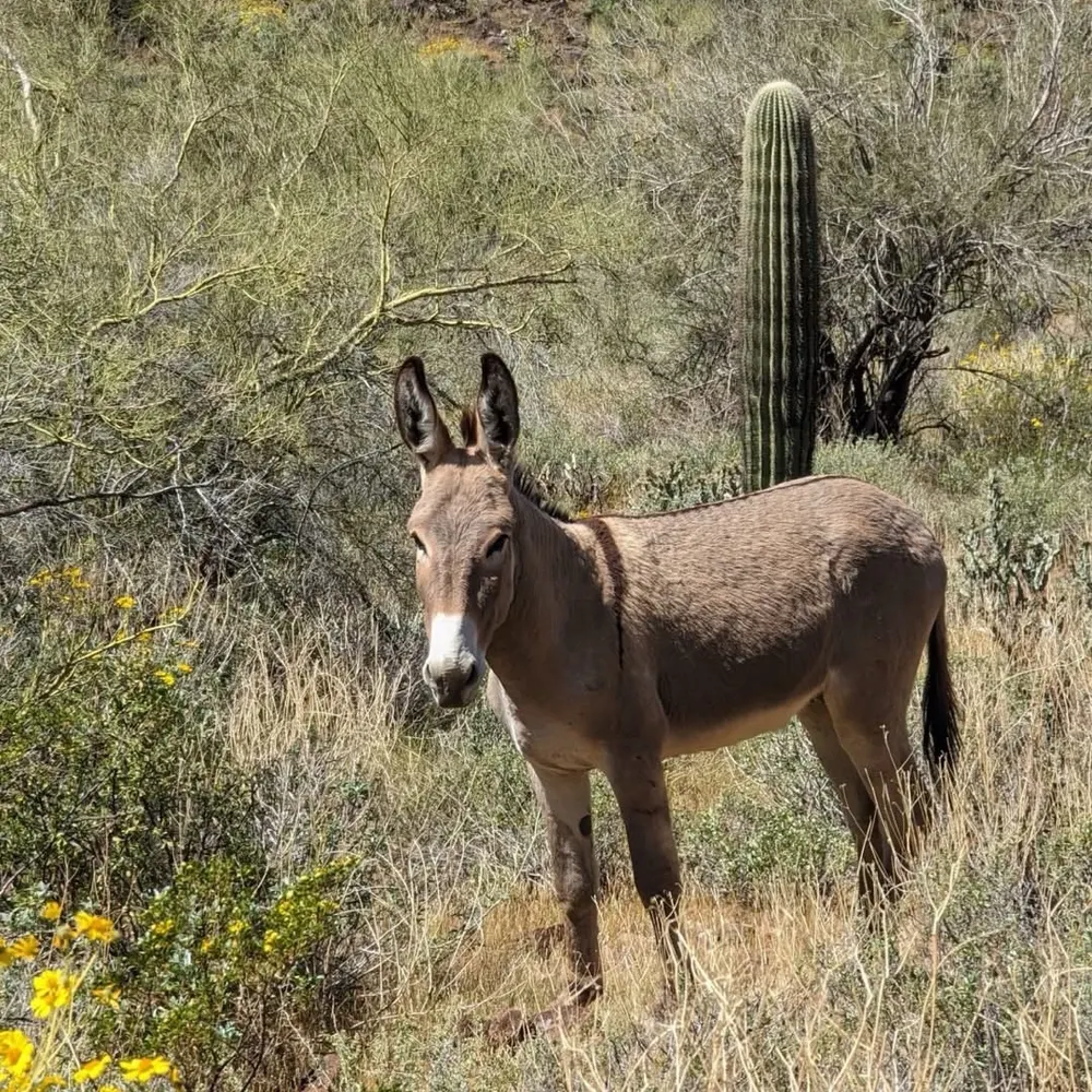 arizonaterry.bsky.social's profile picture