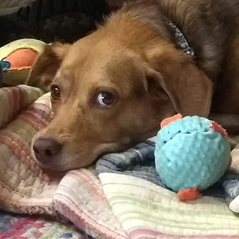 mollyjasmine13.bsky.social's profile picture