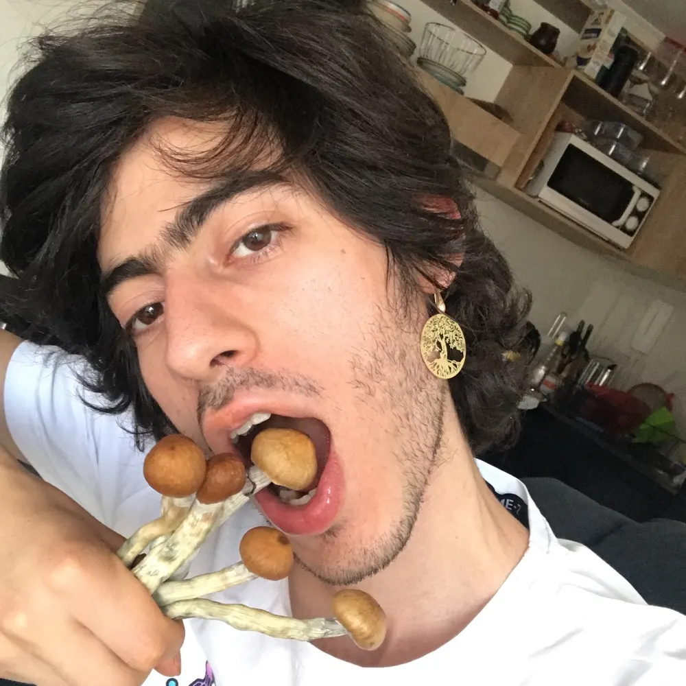 peoflor.bsky.social's profile picture