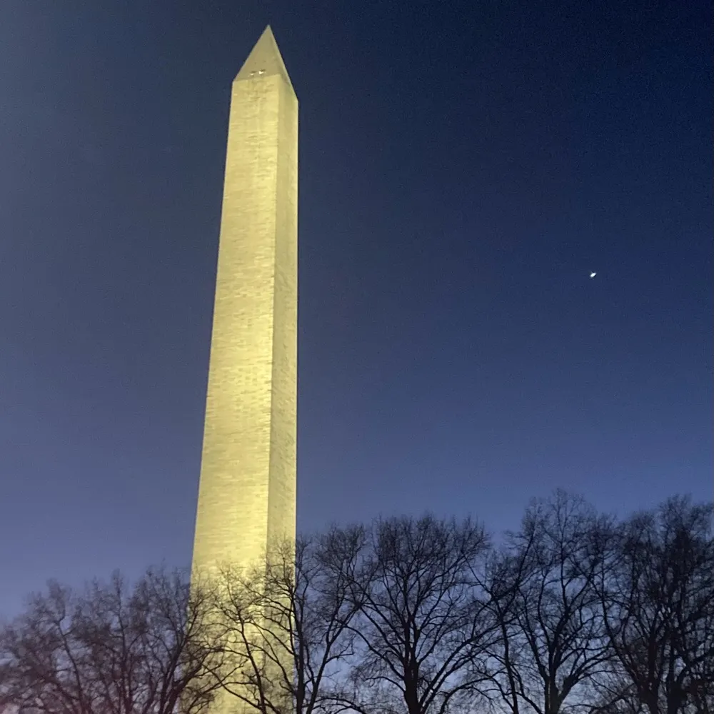 mapchick.bsky.social's profile picture