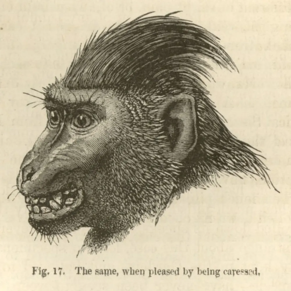 hannaengelmeier.bsky.social's profile picture