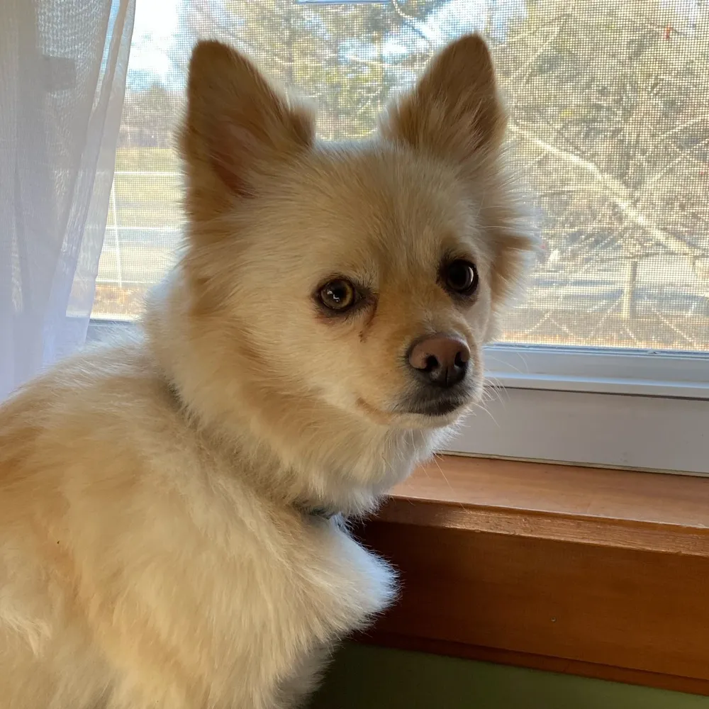 ec-ma.bsky.social's profile picture