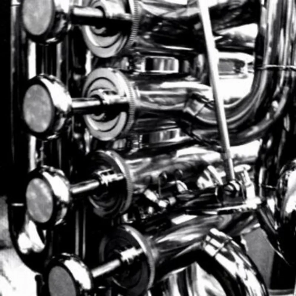 drewphish.bsky.social's profile picture