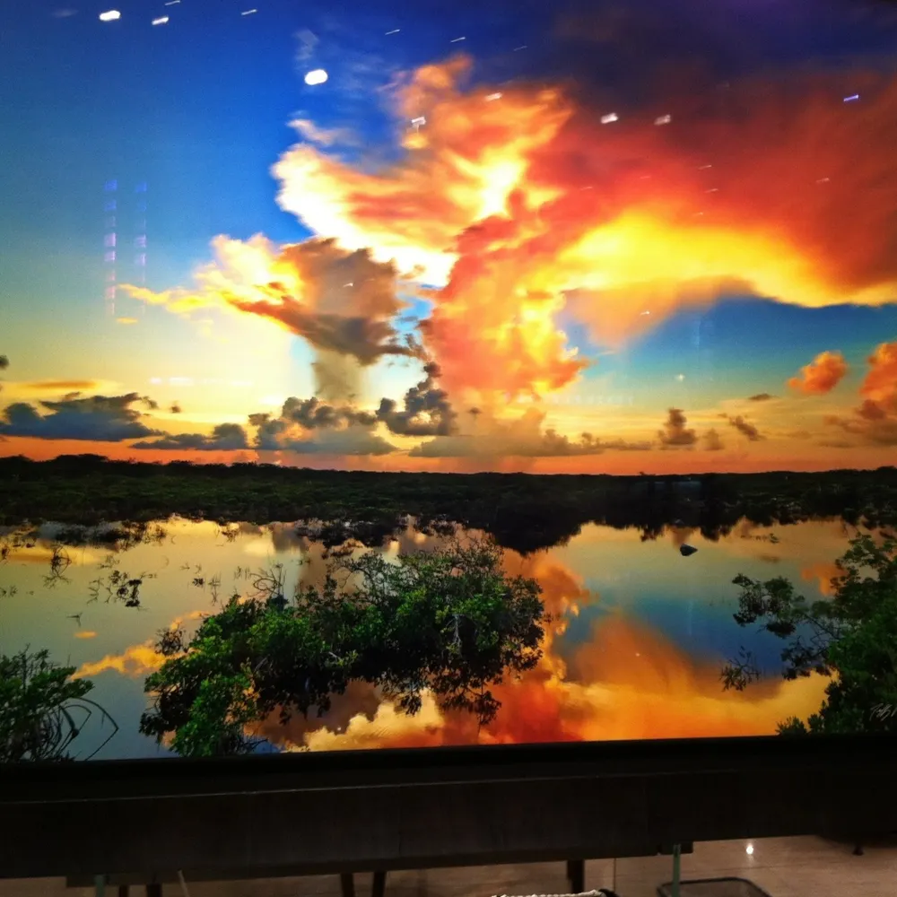 voteblue4vr.bsky.social's profile picture