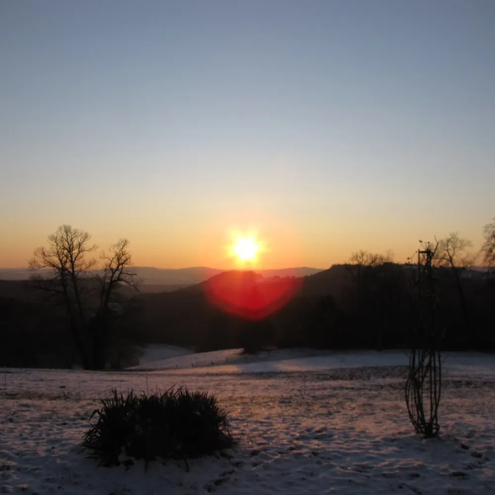 taigasangare.eurosky.social's profile picture