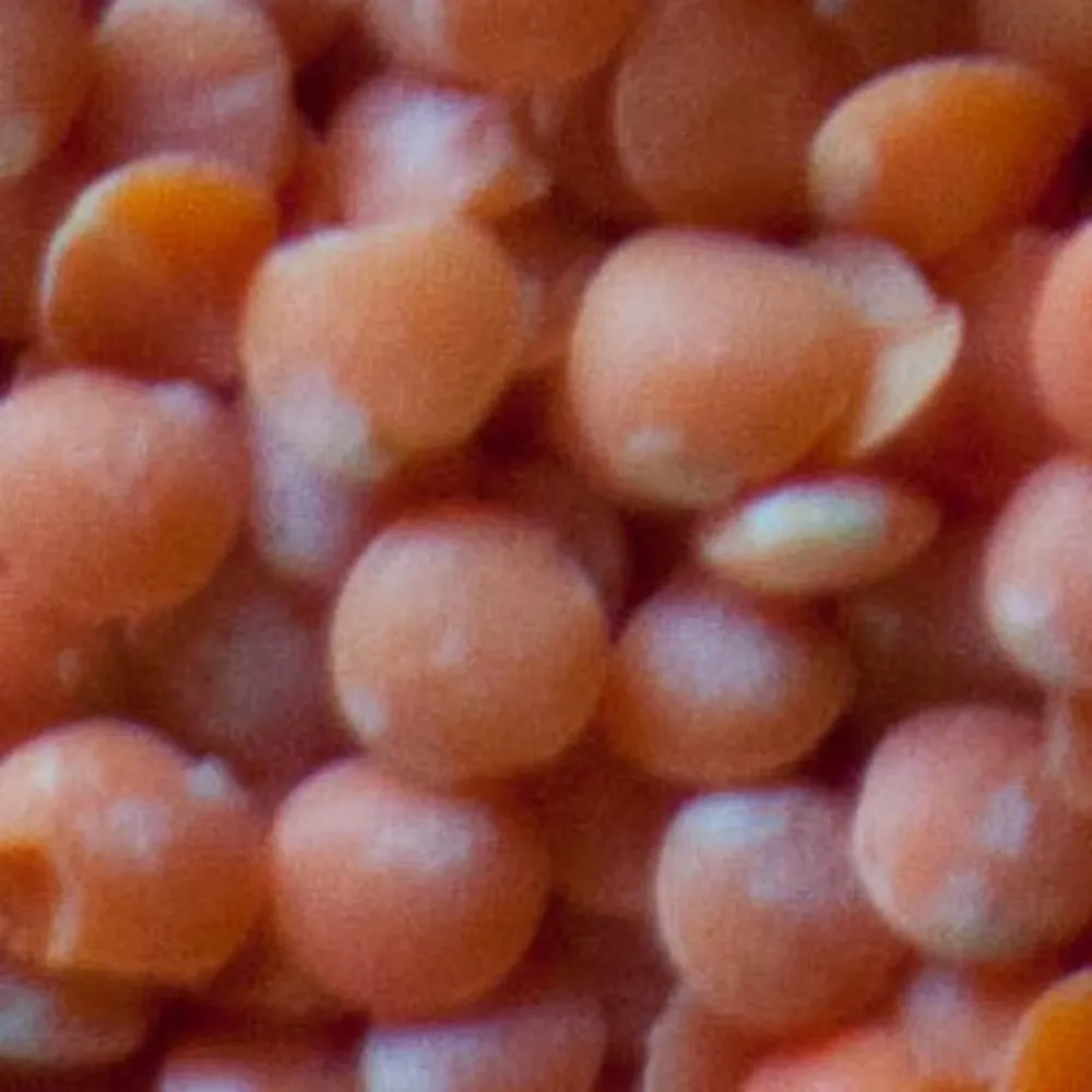 bowloflentils.bsky.social's profile picture