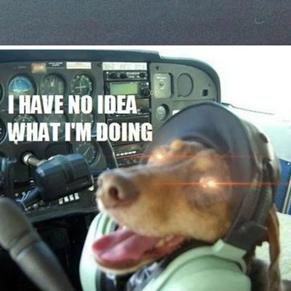 pwnstix.bsky.social's profile picture