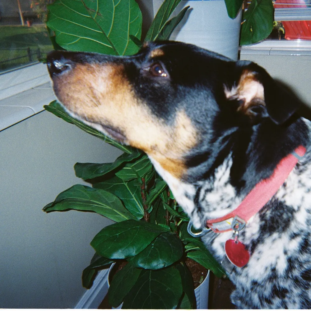 dean3r.bsky.social's profile picture