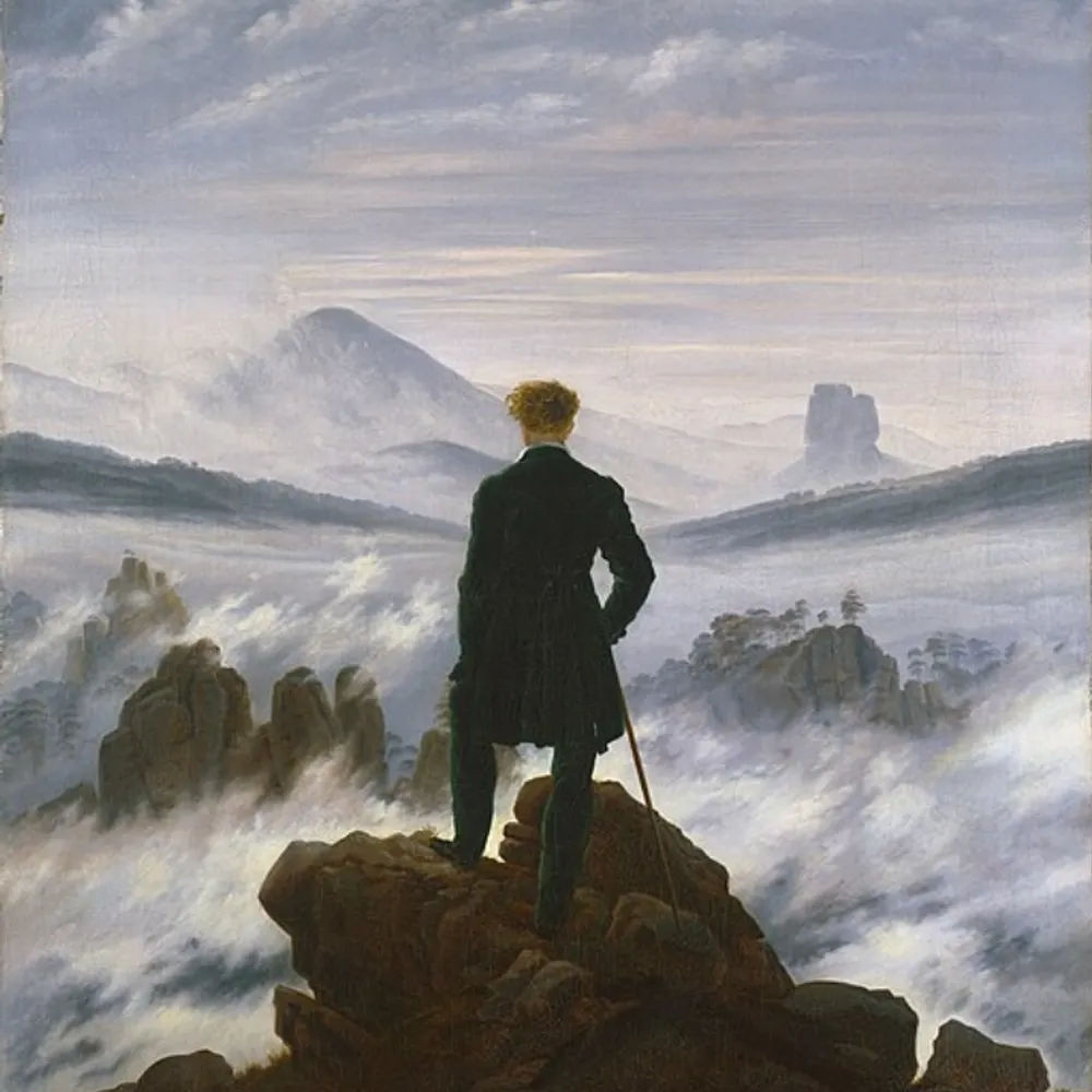 onviewlesswings.bsky.social's profile picture