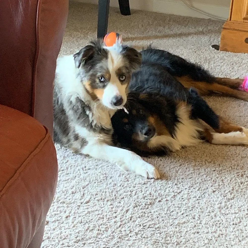 tnbluedot.bsky.social's profile picture